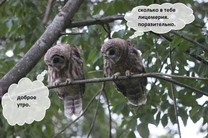сколько в тебе лицемерия. поразительно.
доброе утро.