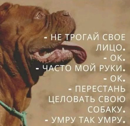 НЕ ТРОГАЙ СВОЕ ЛИЦО.
ОК.
ЧАСТО МОЙ РУКИ.
ОК.
ПЕРЕСТАНЬ ЦЕЛОВАТЬ СВОЮ СОБАКУ.
УМРУ ТАК УМРУ.