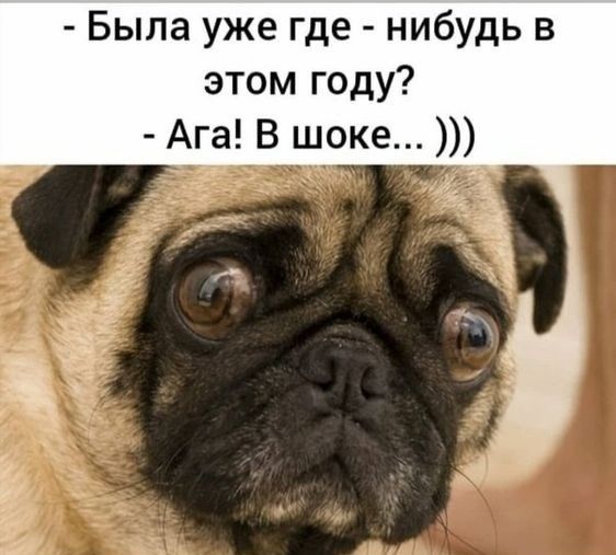 - Была уже где - нибудь в этом году? - Ага! В шоке... ))