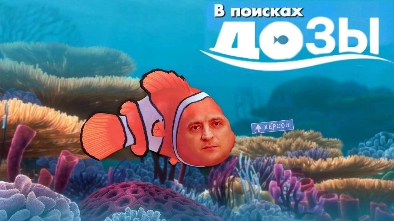 В поисках дозы