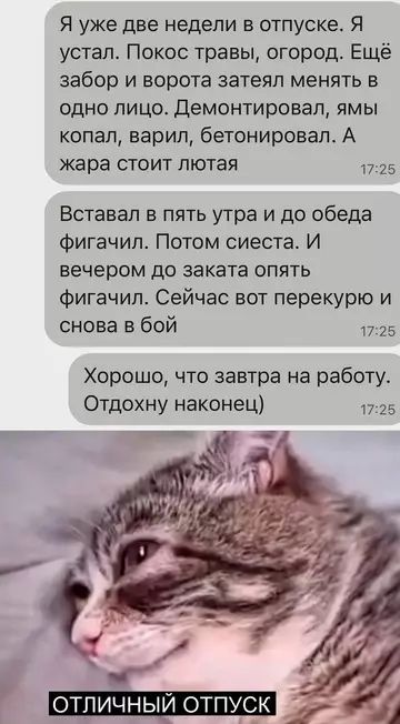 Я уже две недели в отпуске. Я устал. Покос травы, огород. Ещё забор и ворота затеял менять в одно лицо. Демонтировал, ямы копал, варил, бетонировал. А жара стоит лютая
Вставал в пять утра и до обеда фигачил. Потом сиесста. И вечером до заката опять фигачил. Сейчас вот перекурю и снова в бой.
Хорошо, что завтра на работу. Отдохну наконец)

ОТЛИЧНЫЙ ОТПУСК