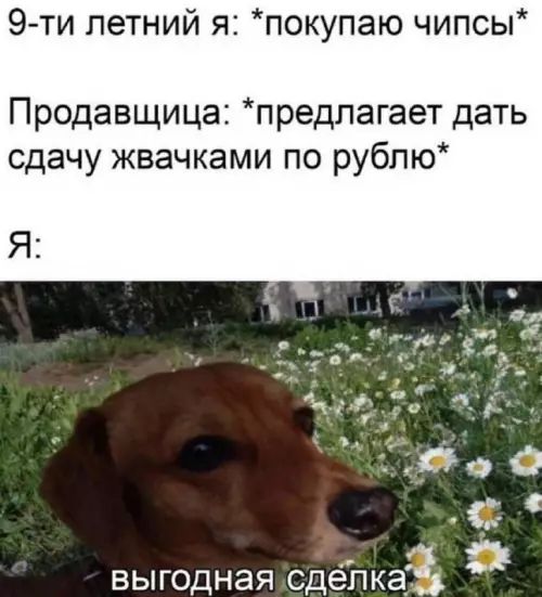 9-ти летний я: *покупаю чипсы*
Продавщица: *предлагает дать сдачу жвачками по рублю*
Я:
выгодная сделка