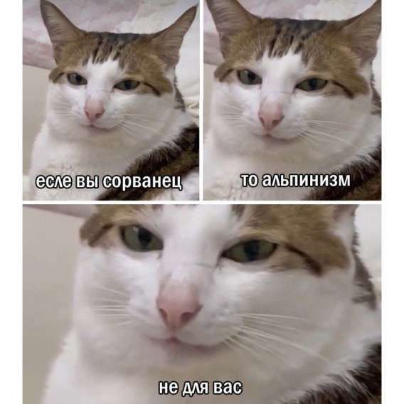 если вы сорванец то альпинизм не для вас