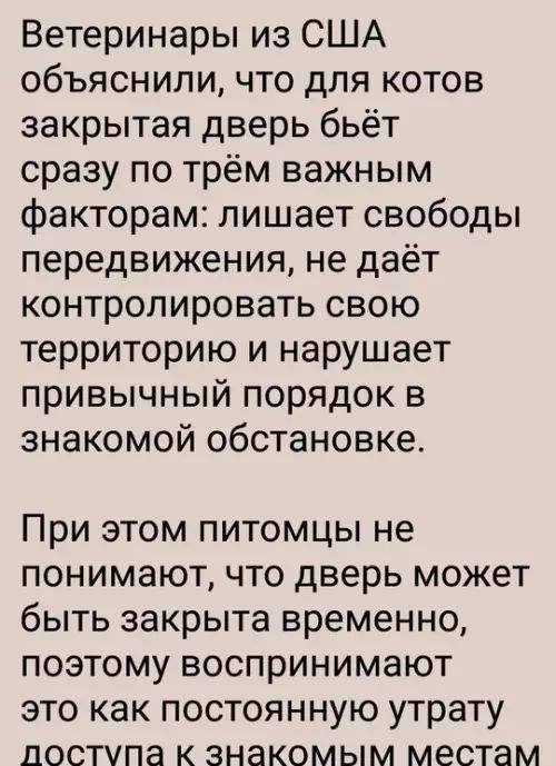 Ветеринары из США объяснили, что для котов закрытая дверь бьёт сразу по трём важным факторам: лишает свободы передвижения, не даёт контролировать свою территорию и нарушает привычный порядок в знакомой обстановке.

При этом питомцы не понимают, что дверь может быть закрыта временно, поэтому воспринимают это как постоянную утрату доступа к знакомым местам.