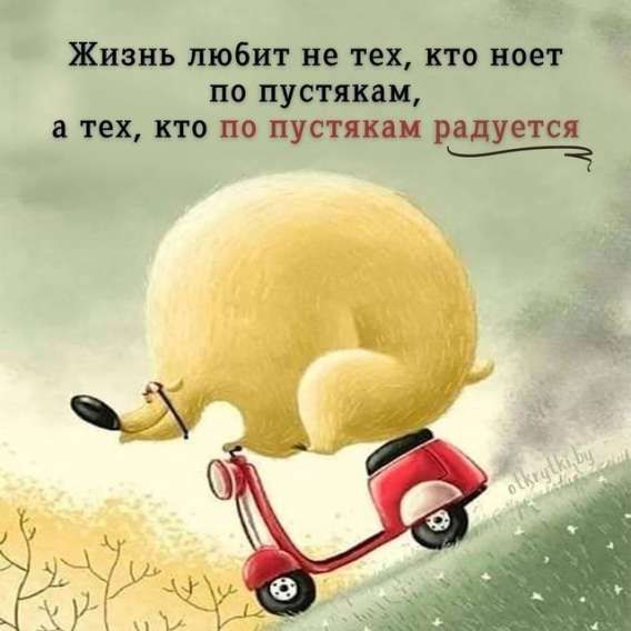 Жизнь любит не тех, кто ноет по пустякам, а тех, кто по пустякам радуется.