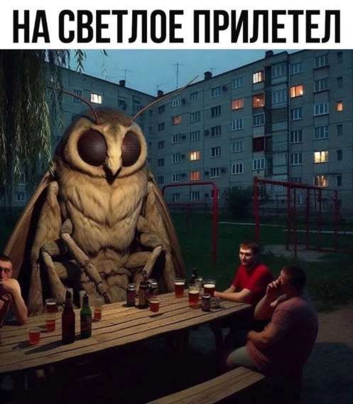 НА СВЕТЛОЕ ПРИЛЕТЕЛ