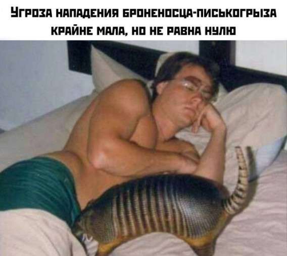 Угроза нападения броненосца-писькогрыза крайне мала, но не равна нулю