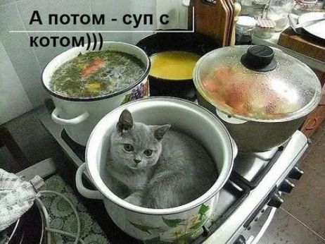 А потом - суп с котом)))