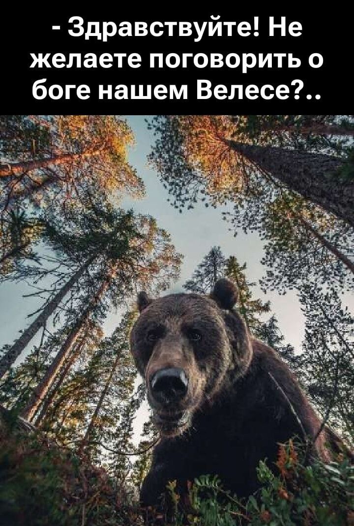 - Здравствуйте! Не хотите поговорить о боге нашем Велесе?..