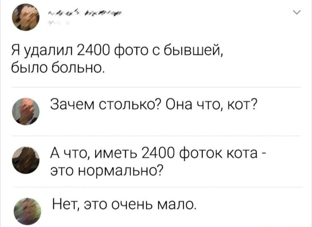 Я удалил 2400 фото с бывшей, было больно.
Зачем столько? Она что, кот?
А что, иметь 2400 фоток кота - это нормально?
Нет, это очень мало.