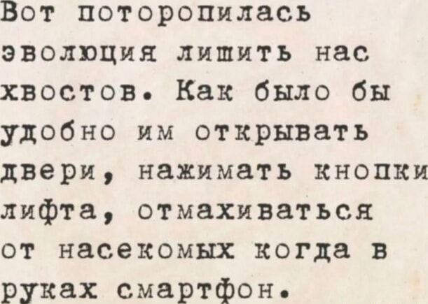 Вот поторопилась эволюция лишить нас хвостов. Как было бы удобно им открывать двери, нажимать кнопки лифта, отмахиваться от насекомых, когда в руках смартфон.