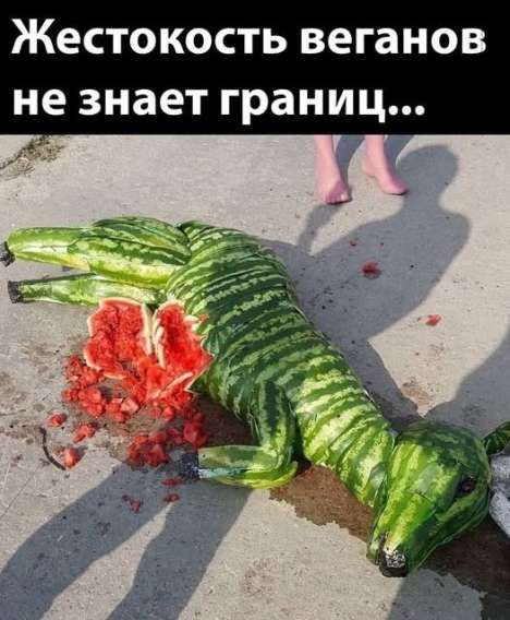Жестокость веганов не знает границ...
