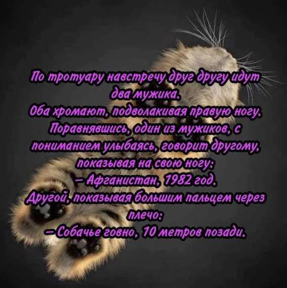 По тротуару навстречу друг другу идут два мужика. Оба хромают, подволакивая правую ногу. Порассказываясь, один из мужиков, с пониманием улыбаясь, говорит другому, показывая на свою ногу: – Афганистан, 1982 год. Другой, показывая большим пальцем через плечо: – Собаки говно, 10 метров позади.