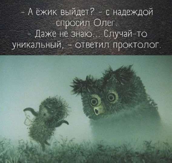 - А ёжик выйдет? - с надеждой спросил Олег.
- Даже не знаю. Случай-то уникальный, - ответил проктолог.