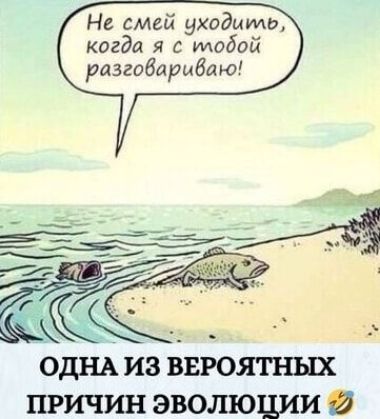 Не смей уходить, когда я с тобой разговариваю! ОДНА ИЗ ВЕРОЯТНЫХ ПРИЧИН ЭВОЛЮЦИИ 😂