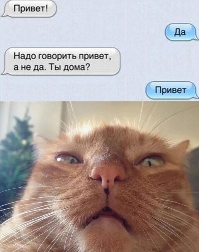 Привет!
Да
Надо говорить привет, а не да. Ты дома?
Привет