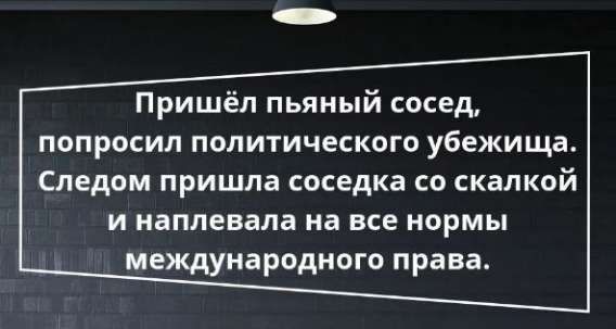 Пришёл пьяный сосед, попросил политического убежища. Следом пришла соседка со скалкой и наплевала на все нормы международного права.