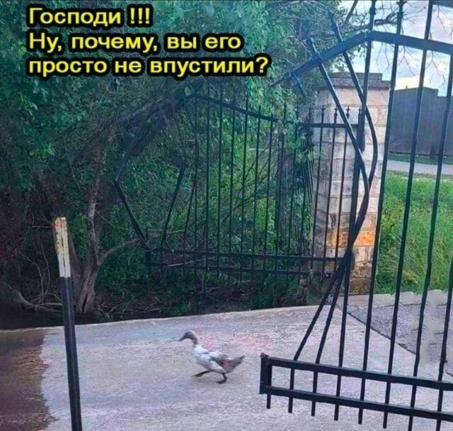 Господи !!!
Ну, почему, вы его просто не впустили?