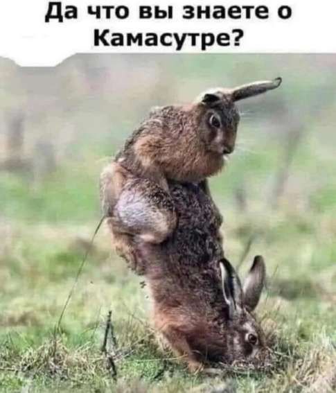 Да что вы знаете о КамаСутре?