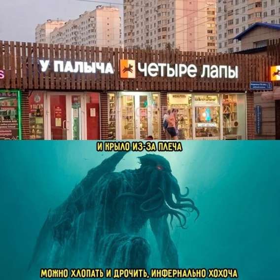 и крыло из-за плеча можно хлопать и дрочить, инфернально хочу