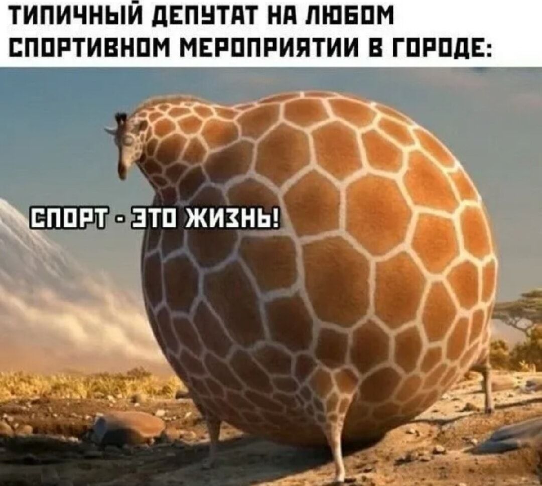 СПОРТ - ЭТО ЖИЗНЬ!