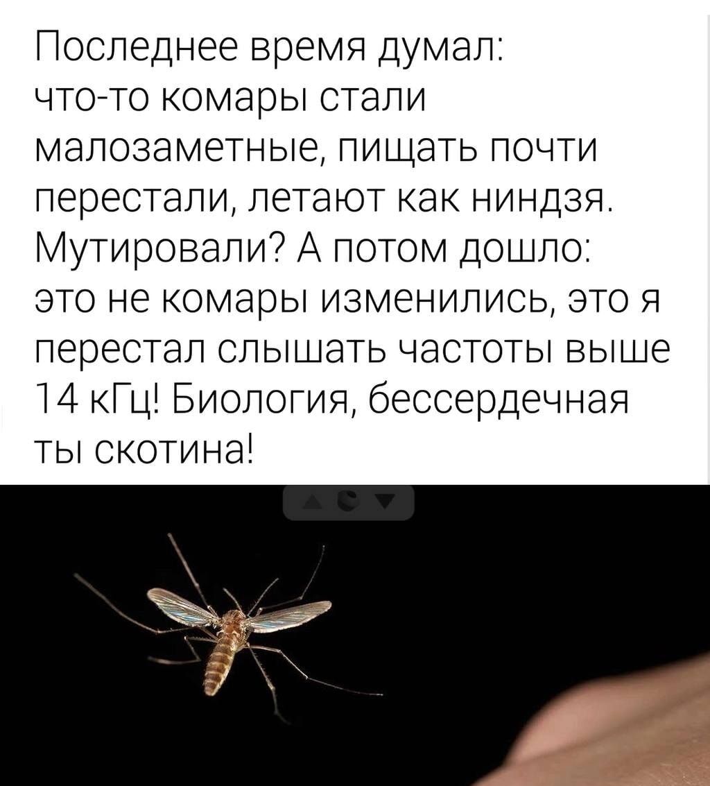 Последнее время думал: что-то комары стали малозаметные, пилить почти перестали, летают как ниндзя. Мутировали? А потом дошло: это не комары изменились, это я перестал слышать частоты выше 14 кГц! Биология, бессердечная ты скотина!