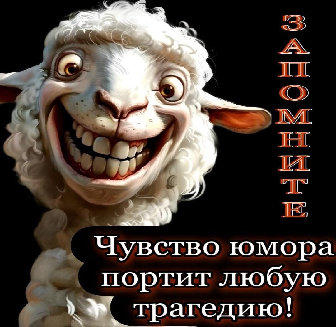 Запомните
Чувство юмора портит любую трагедию!