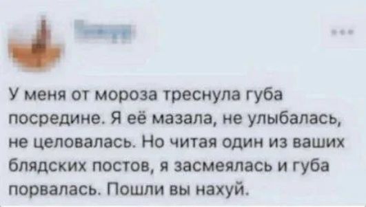 У меня от мороза треснула губа посредине. Я её мазала, не улыбалась, не целовалась. Но читая один из ваших блядских постов, я засмеялась и губа порвалась. Пошли вы нахуй.