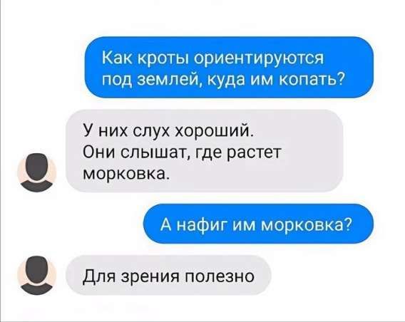 Как кроты ориентируются под землёй, куда им копать?
У них слух хороший. Они слышат, где растёт морковка.
А нафиг им морковка?
Для зрения полезно.