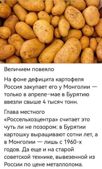 Величием повеяло
На фоне дефицита картофеля Россия закупает его у Монголии — только в апреле-мае в Бурятию ввезли свыше 4 тысяч тонн.

Глава местного «Россельхозцентра» считает это чуть ли не позором: в Бурятии картошку выращают сотни лет, а в Монголии — лишь с 1960-х годов. Да еще и на старой советской технике, вывезенной из России по цене металлолома.