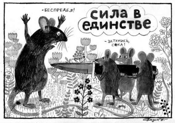 СИЛА В ЕДИНСТВЕ
- БЕСПРЕДЕЛ!
- ЗАТКНИСЬ, СУКА!