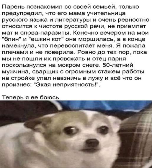 Парень познакомил со своей семьей, только предупредил, что его мама учительница русского языка и литературы и очень ревностно относится к чистоте русской речи, не приемлет мат и слова-паразиты. Конечно вечером на мои 