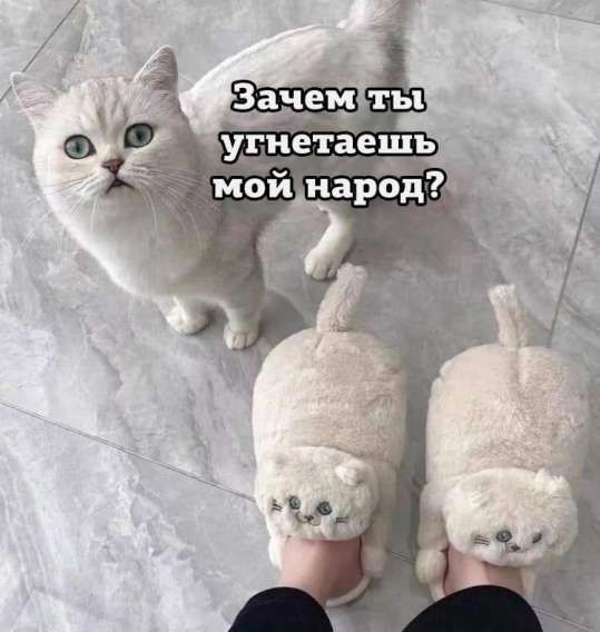 Зачем ты угнетаешь мой народ?
