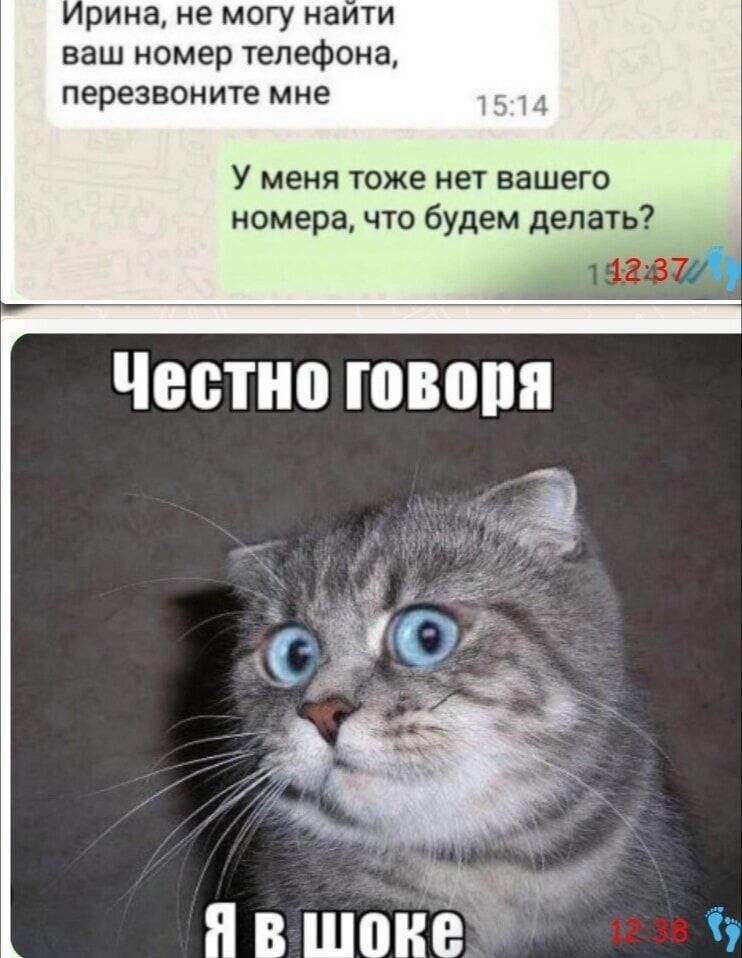 Ирина, не могу найти ваш номер телефона, перезвоните мне
У меня тоже нет вашего номера, что будем делать?

Честно говоря
Я в шоке