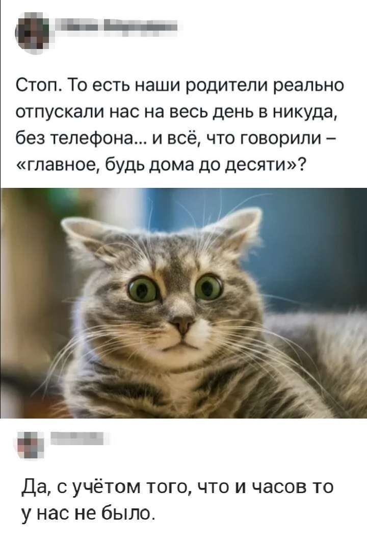 Стоп. То есть наши родители реально отпускали нас на весь день в никуда, без телефона... и всё, что говорили – «главное, будь дома до десяти»? Да, с учётом того, что часов то у нас не было.