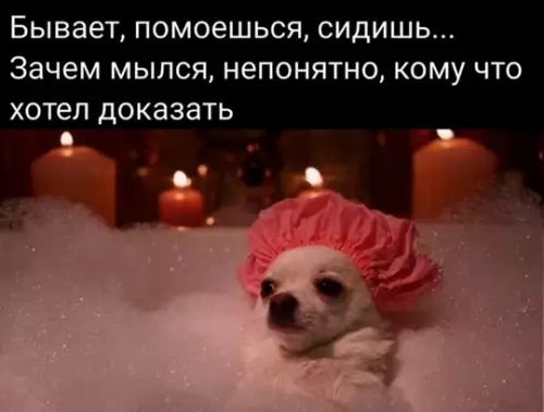 Бывает, помоешься, сидишь... Зачем мылся, непонятно, кому что хотел доказать