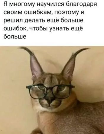 Я многому научился благодаря своим ошибкам, поэтому я решил делать ещё больше ошибок, чтобы узнать ещё больше