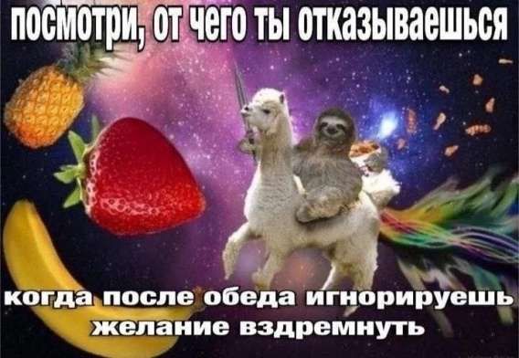 посмотри, от чего ты отказываешься
когда после обеда игнорируешь желание вздремнуть