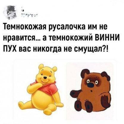 Темнокожая русалочка им не нравится... а темнокожий ВИННИ ПУХ вас никогда не смущал?!
