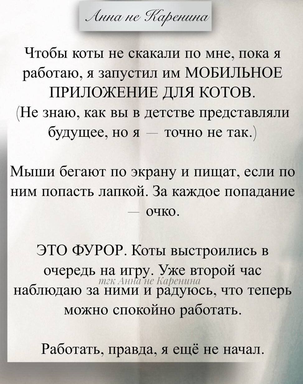Чтобы коты не скакали по мне, пока я работаю, я запустил им МОБИЛЬНОЕ ПРИЛОЖЕНИЕ ДЛЯ КОТОВ.
(Не знаю, как вы в детстве представляли будущее, но я — точно не так.)
Мыши бегают по экрану и пишут, если по ним попасть лапкой. За каждое попадание — очко.
ЭТО ФУРОР. Коты выстроились в очередь на игру. Уже второй час наблюдаю за ними и радуюсь, что теперь можно спокойно работать.
Работать, правда, я ещё не начал.