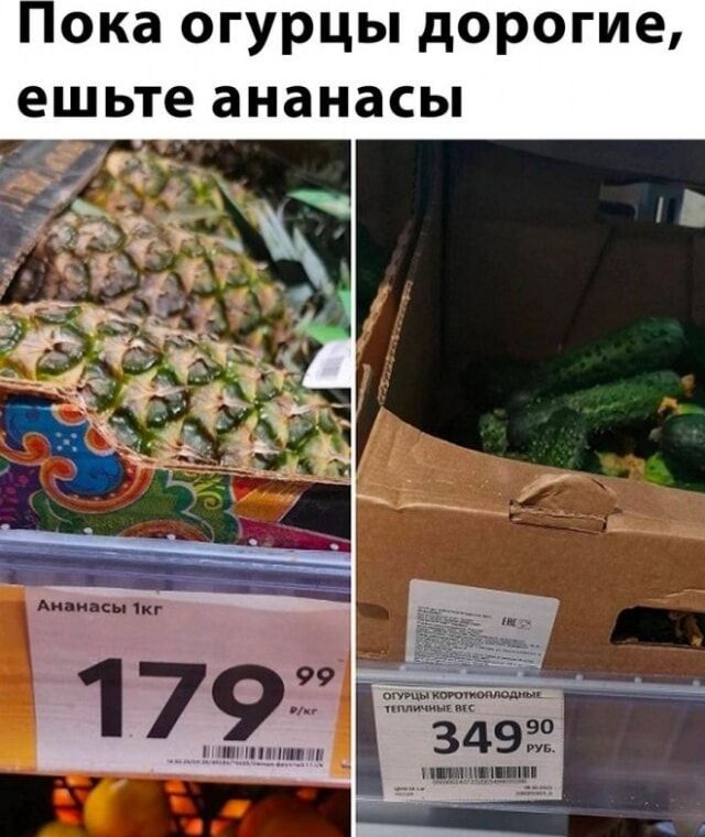 Пока огурцы дорогие, ешьте ананасы
Ананасы 1кг 179,99 руб.
Огурцы короткоплодные, тепличные 349,90 руб.