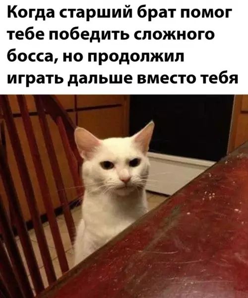 Когда старший брат помог тебе победить сложного босса, но продолжил играть дальше вместо тебя