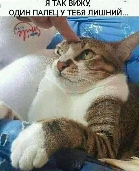 Я ТАК ВИЖУ, ОДИН ПАЛЕЦ У ТЕБЯ ЛИШНИЙ...