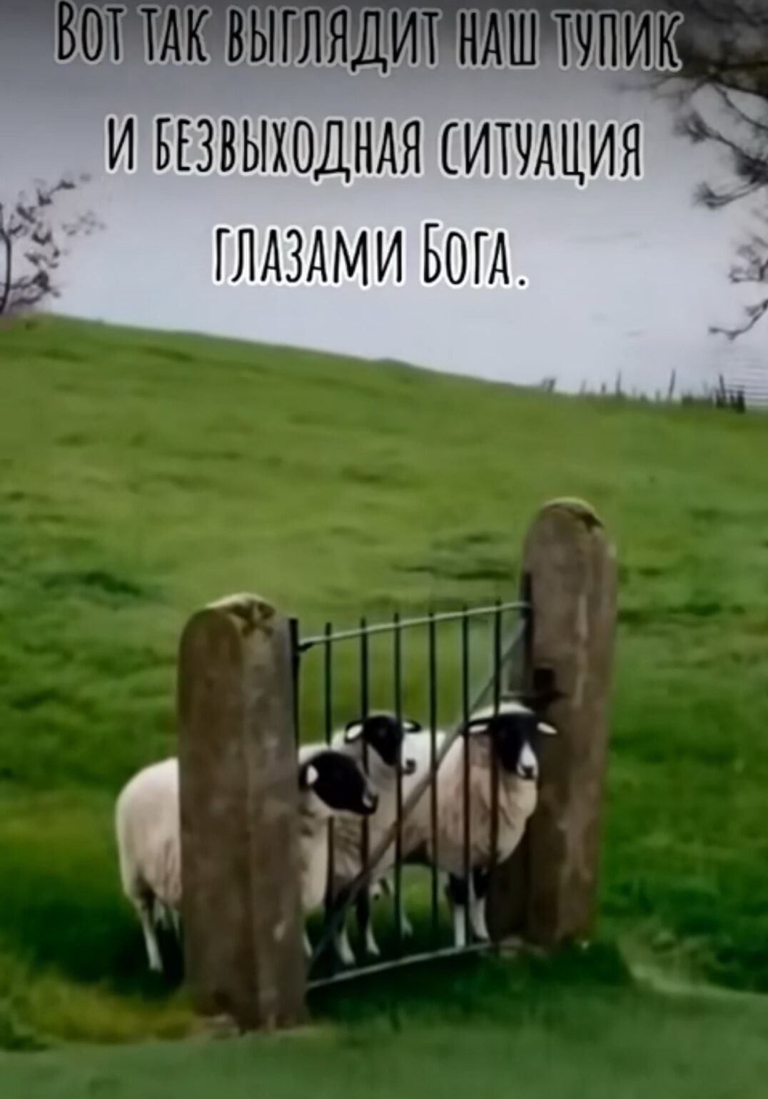 Вот так выглядит наш тупик и безвыходная ситуация глазами Бога.