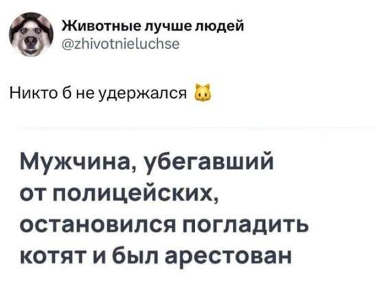 Никто б не удержался 😺

Мужчина, убегавший от полицейских, остановился погладить котят и был арестован
