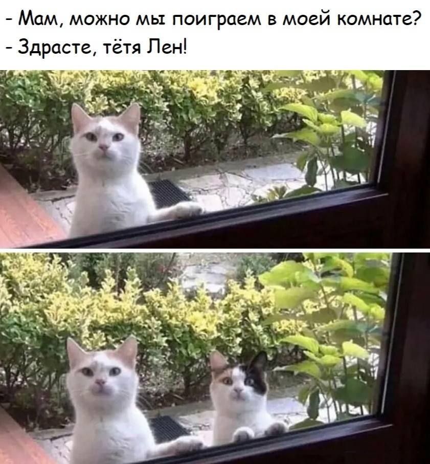 - Мам, можно мы поиграем в моей комнате?
- Здравствуйте, тётя Лен!