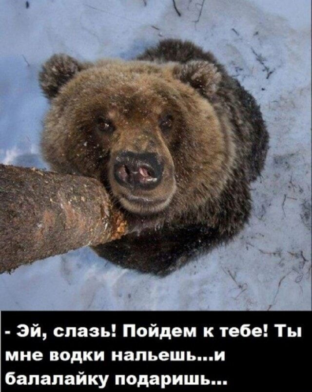 Эй, слазь! Пойдем к тебе! Ты мне водки нальешь... и балалайку подаришь...