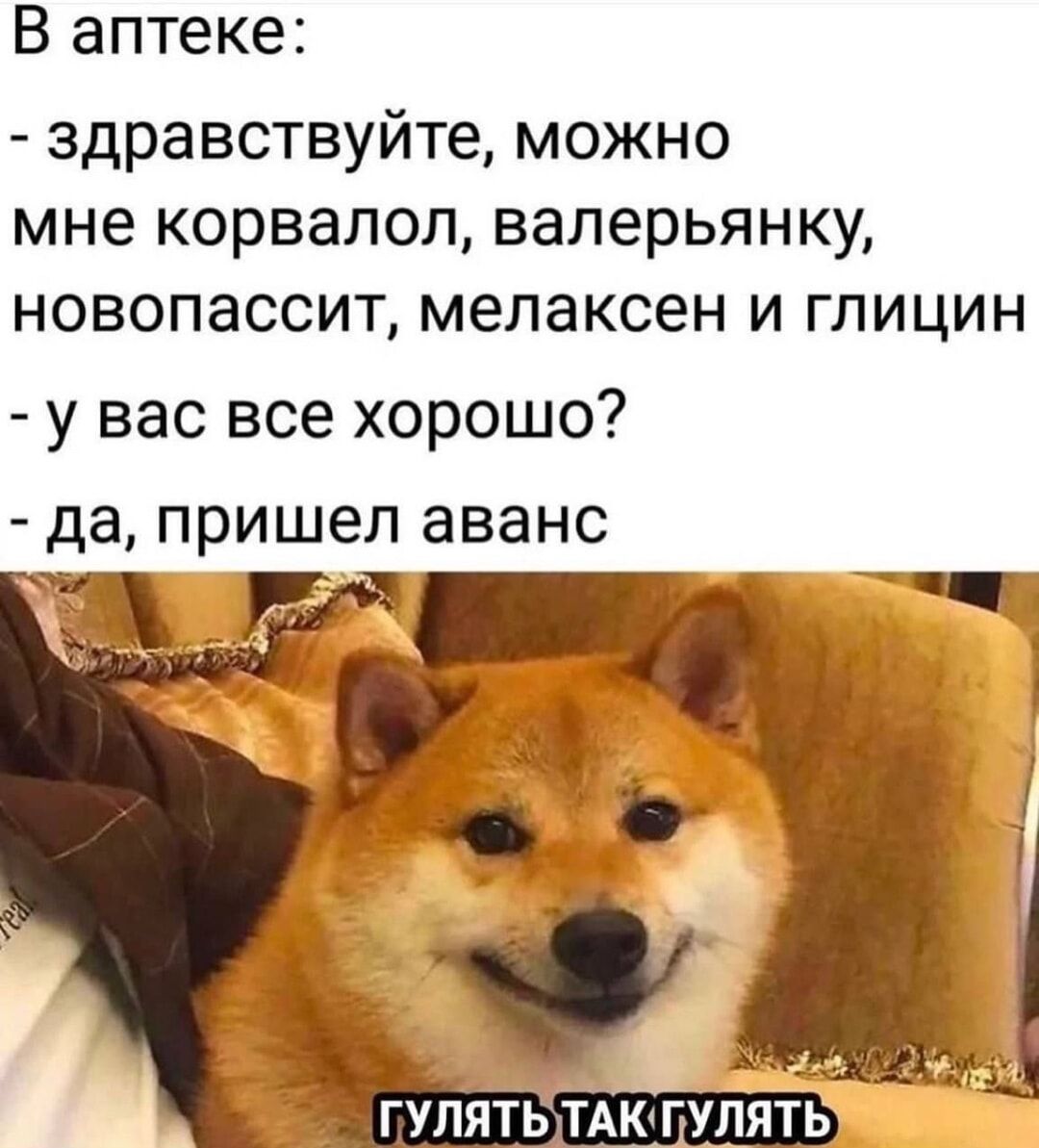 В аптеке:
- здравствуйте, можно мне корвалол, валерьянку, новопассит, мелаксен и глицин
- у вас все хорошо?
- да, пришел аванс

ГУЛЯТЬ ТАК ГУЛЯТЬ