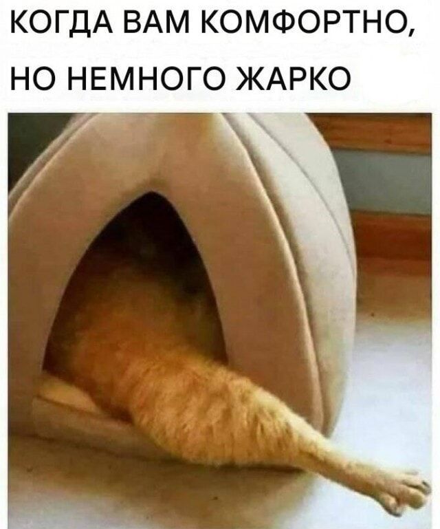 КОГДА ВАМ КОМФОРТНО, НО НЕМНОГО ЖАРКО