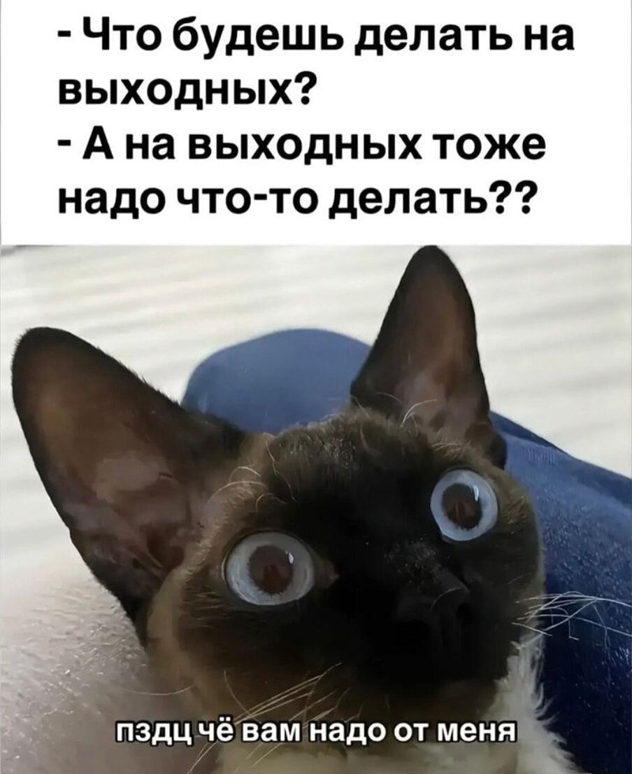 Что будешь делать на выходных? - А на выходных тоже надо что-то делать?? пздц чё вам надо от меня